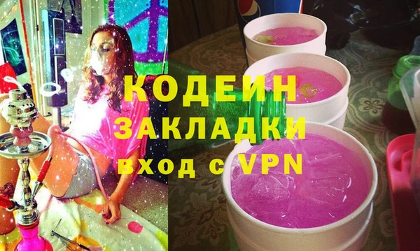 хмурый Аркадак