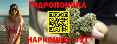 трава Аргун