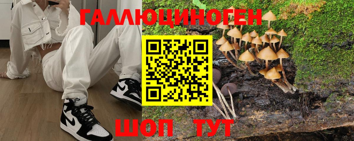 Галлюциногенные грибы Psilocybine cubensis  Вход с VPN  Асино  Галлюциногенные грибы MAGIC MUSHROOMS 