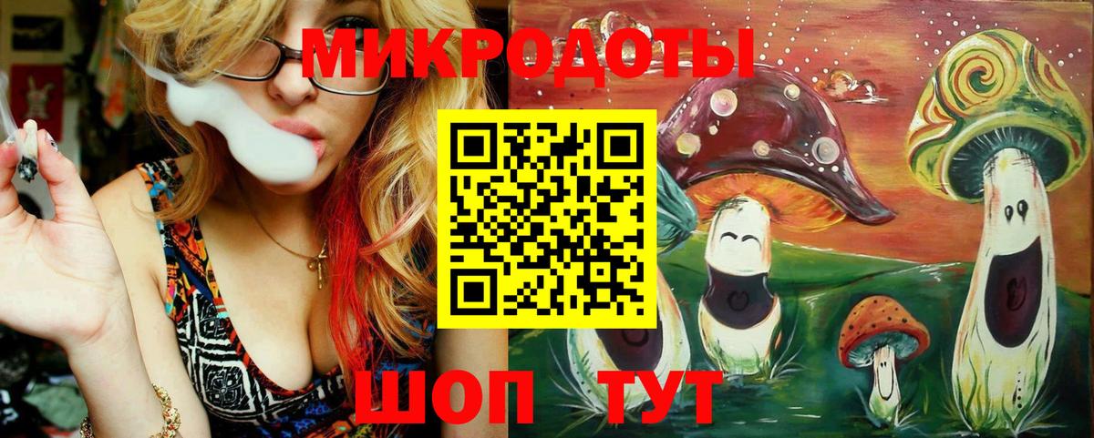 Псилоцибиновые грибы Psilocybine cubensis Асино