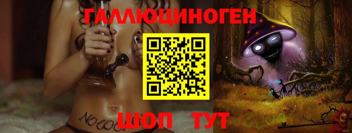 Псилоцибиновые грибы GOLDEN TEACHER Асино