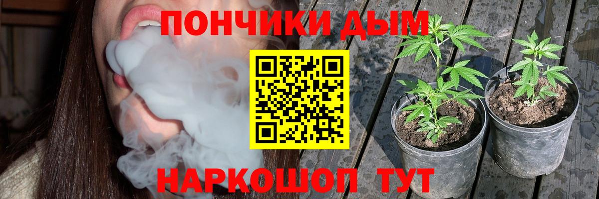 Бошки марихуана конопля Асино